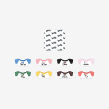 Load image into Gallery viewer, Stray Kids World Tour 'dominATE : celebrATE' Official MD - SKZOO Standing Plush Outfit