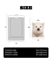 Load image into Gallery viewer, Sooang Photocard Holder - Fruit
