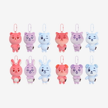 Load image into Gallery viewer, DAY6 10th Anniversary Tour 'The DECADE' FINALE Official MD - DENIMALZ Secret Mini Plush