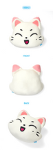Load image into Gallery viewer, ENHYPEN Character 'ENCHIN' Official MD - Face Cushion