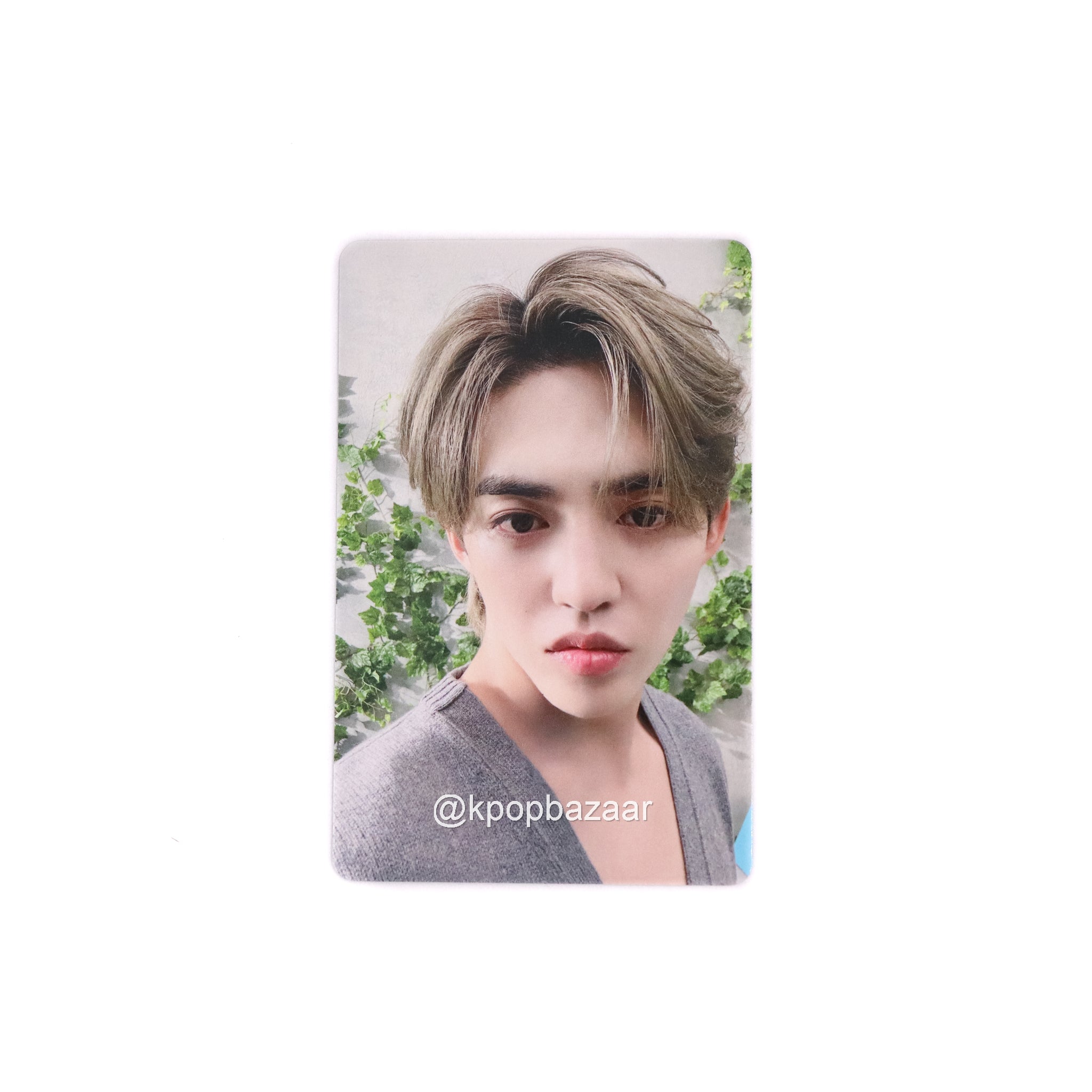 SEVENTEEN WONWOO SHOHIKIGEN Photocard SEVENTEEN '消費期限