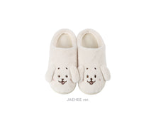 Load image into Gallery viewer, NCT WISH 1st Album 'Ode to Love' Official MD - WISH Doll Room Shoes