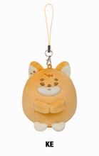 Load image into Gallery viewer, DAY6 10th Anniversary Tour 'The DECADE' FINALE Official MD - Petit DENIMALZ Plush (Hug Ver.)