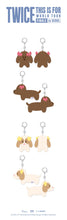 Load image into Gallery viewer, TWICE 'THIS IS FOR' WORLD TOUR FINALE in SEOUL POP-UP MD - SANA Twin Plush Keyring Set