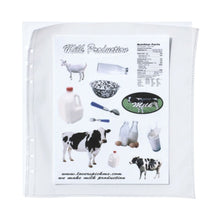 Load image into Gallery viewer, BE ON D After Rain Deco Pocket A5 Wide Binder Refill (Double Sided)