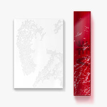 Load image into Gallery viewer, [PREORDER] V (BTS) 'TYPE 非' Photobook + Poster Set
