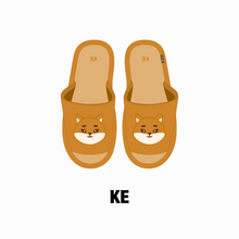 Load image into Gallery viewer, [PREORDER] DAY6 10th Anniversary Tour 'The DECADE' FINALE Official MD - DENIMALZ Room Shoes
