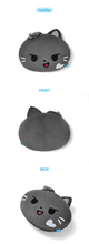 Load image into Gallery viewer, ENHYPEN Character 'ENCHIN' Official MD - Face Cushion
