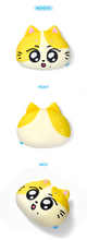 Load image into Gallery viewer, ENHYPEN Character 'ENCHIN' Official MD - Face Cushion
