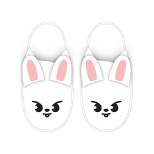 Load image into Gallery viewer, Stray Kids STAY Japan FC 6th Anniversary Official MD - SKZOO Slippers

