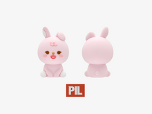 Load image into Gallery viewer, [PREORDER] DAY6 10th Anniversary Tour &#39;The DECADE&#39; Official MD - PETIT DENIMALZ FIGURE
