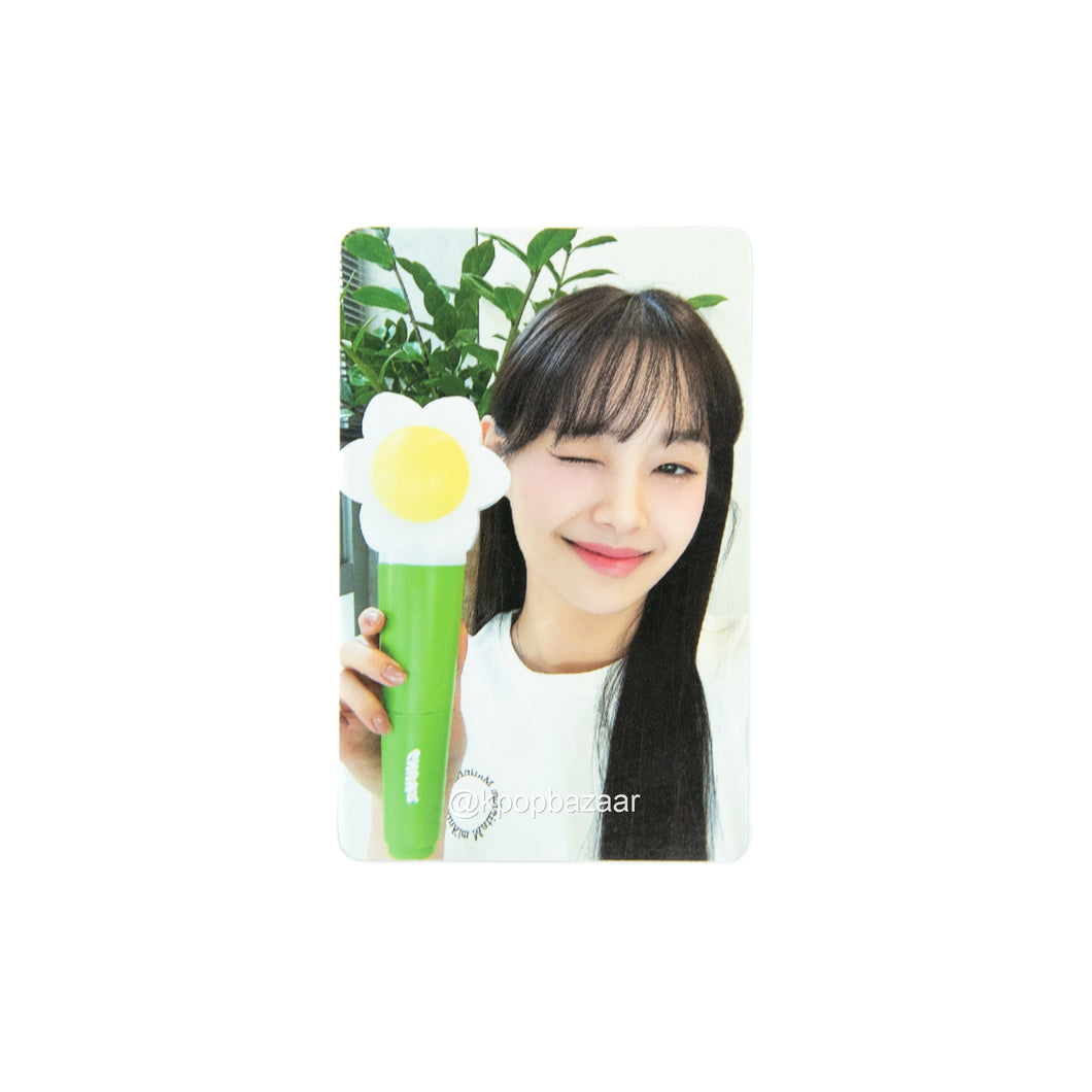 CHUU Official Light Stick Photocard
