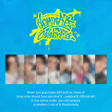 Load image into Gallery viewer, [PREORDER] Stray Kids World Tour &#39;dominATE : celebrATE&#39; Official MD - SKZOO Photocard Tin Case
