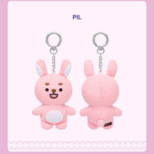 Load image into Gallery viewer, DAY6 2025 Special Concert 'The Present' Official MD - DENIMALZ PLUSH (Knit Ver.)
