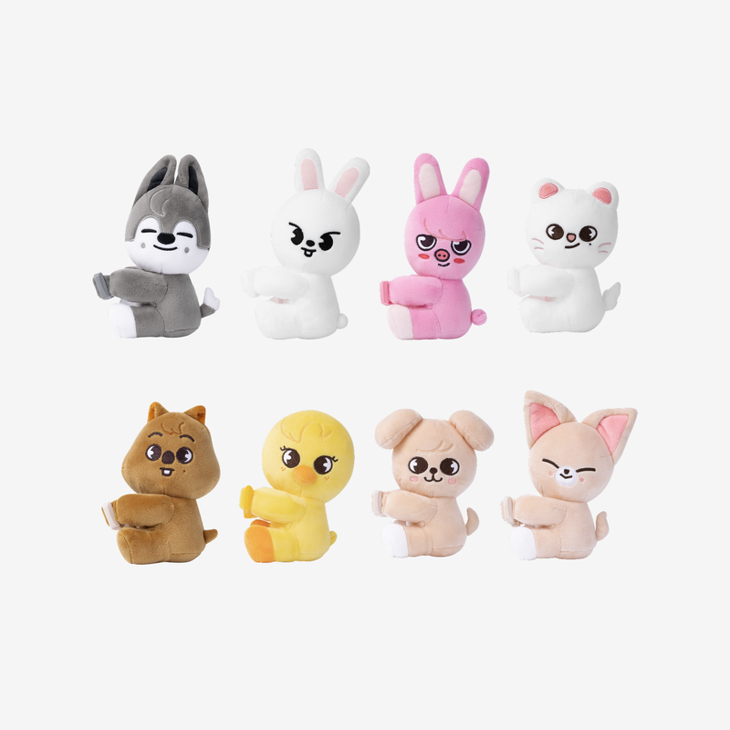 Stray Kids Albums & Merch | Official Collection | K-Pop Bazaar