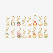 Load image into Gallery viewer, [PREORDER] Stray Kids SKZOO X SANRIO Characters Official MD - Metal Keyring
