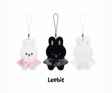 Load image into Gallery viewer, [PREORDER] Stray Kids World Tour 'RUN IT SEOUL' Official MD - SKZOO Secret Plush (Micro Ver.)
