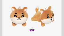Load image into Gallery viewer, DAY6 10th Anniversary Tour 'The DECADE' in DAEGU Official MD - DENIMALZ Plush (Lying Ver.)
