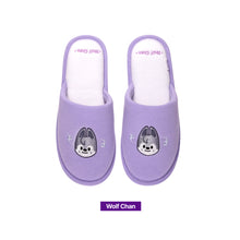 Load image into Gallery viewer, Stray Kids 4th Fanmeeting &#39;SKZ&#39;S MAGIC SCHOOL&#39; Official MD - SKZOO Room Shoes
