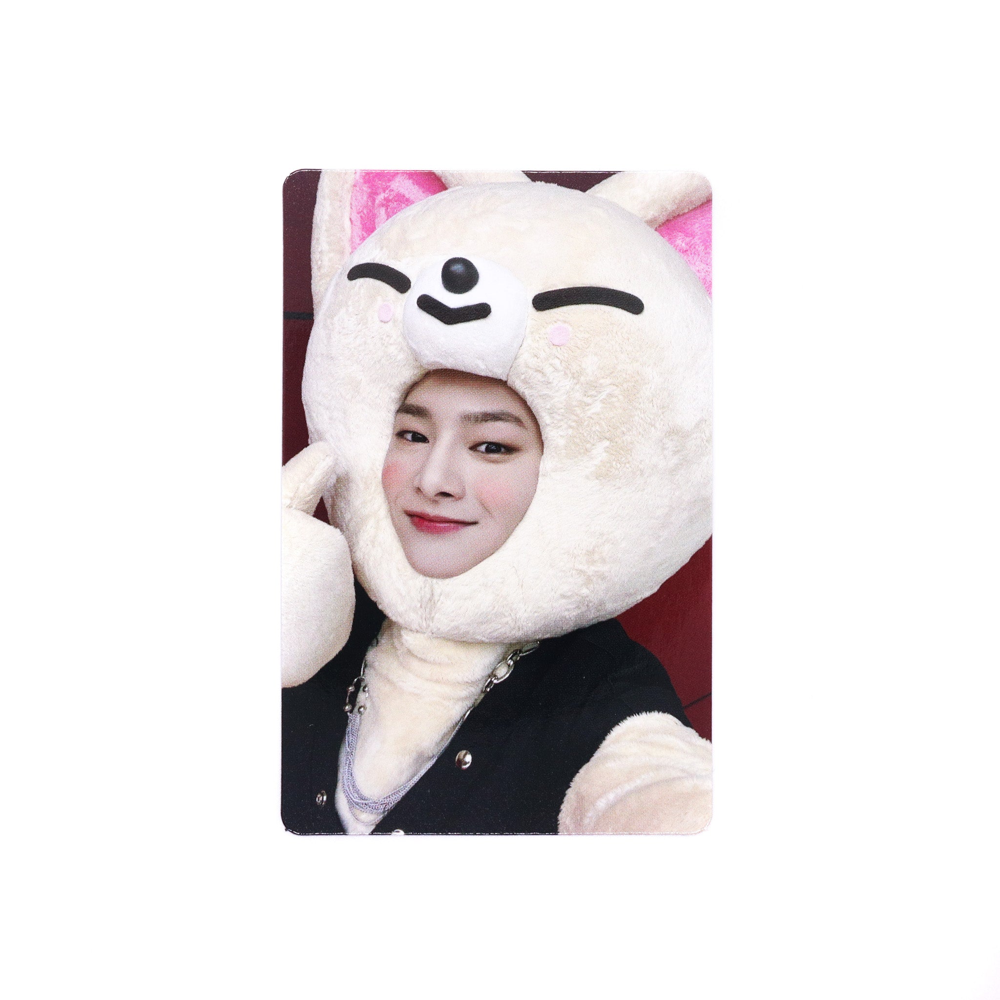 stray kids skzoo トレカ　maxident jyp stray kids skzoo トレカ maxident jyp STRAY KIDS Mini Album